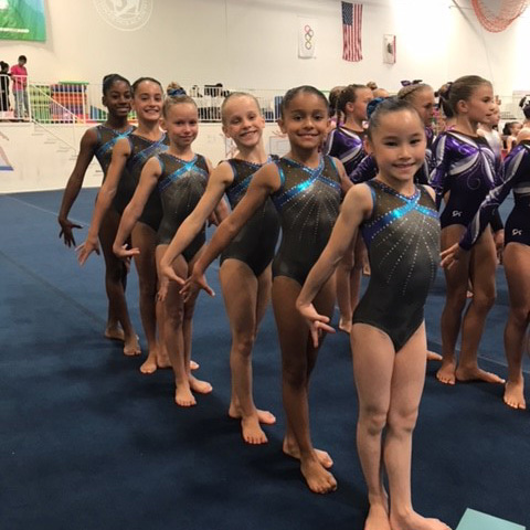 girls gymnastics team